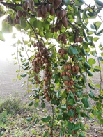 IMG-20200214-WA0028