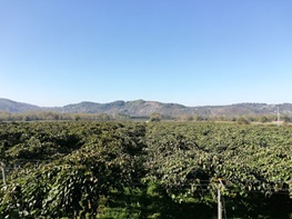 IMG-20200214-WA0035